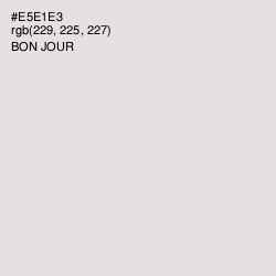 #E5E1E3 - Bon Jour Color Image